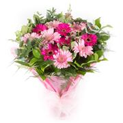 Just Gerberas - Choose Colours