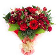 Christmas Celebration