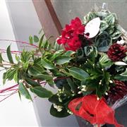 Festive Planted Basket