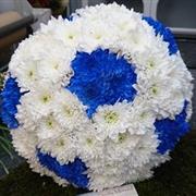 Football Tribute