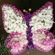 Butterfly Pink and Mauve