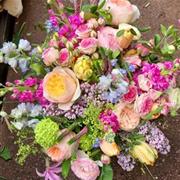 Bursting Blooms