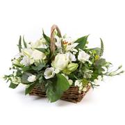 White Basket - Peak Time